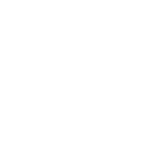 VfL Wolfsburg
