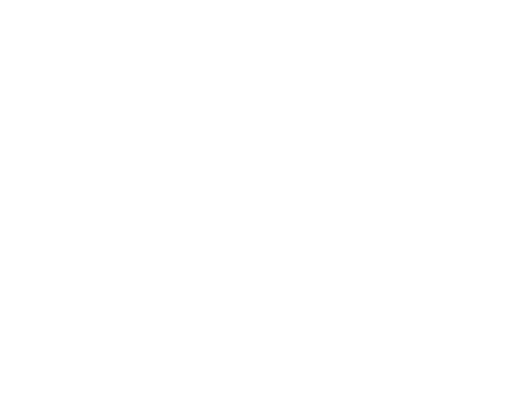 VfL Wolfsburg